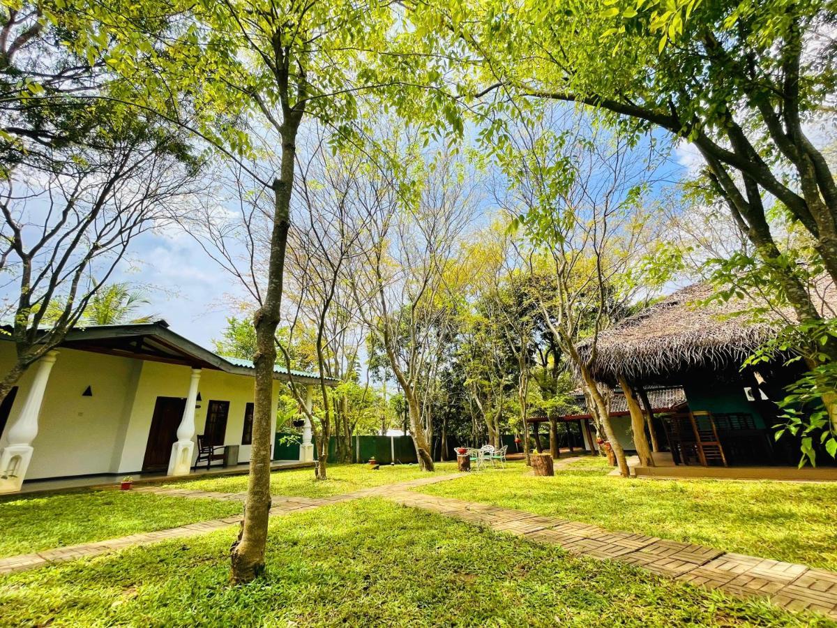 Kingfisher Resort Sigiriya Exterior foto